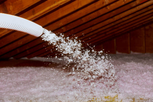 Best Residential Insulation in Sandstone, MN