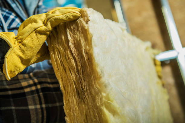 Best Insulation Maintenance and Repair in Sandstone, MN