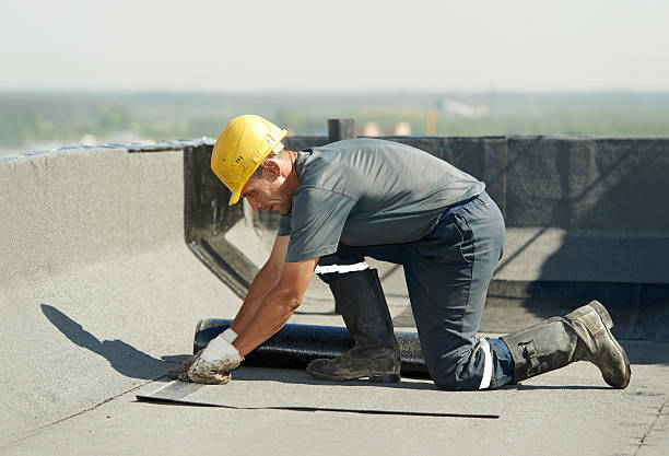 Best Insulation Installation Services in Sandstone, MN